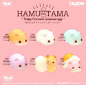 iBloom Hamster Whole Box