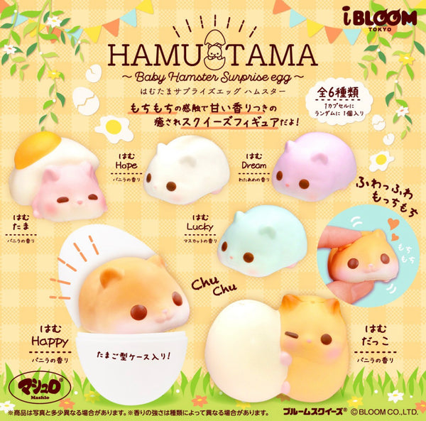 iBloom Hamster Whole Box